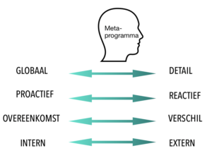 Metaprogramma Metaprogramma NLP