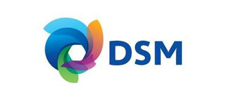 DSM